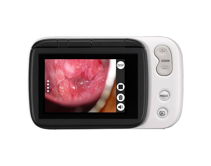 LCD Monitor